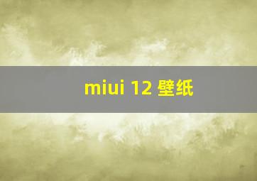 miui 12 壁纸